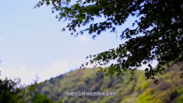 最爱巧克力纸杯蛋糕