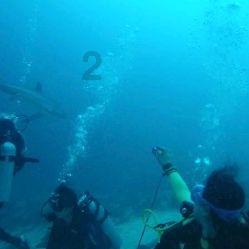 动图海报丨划重点!2024年山东十二个方面重点工作