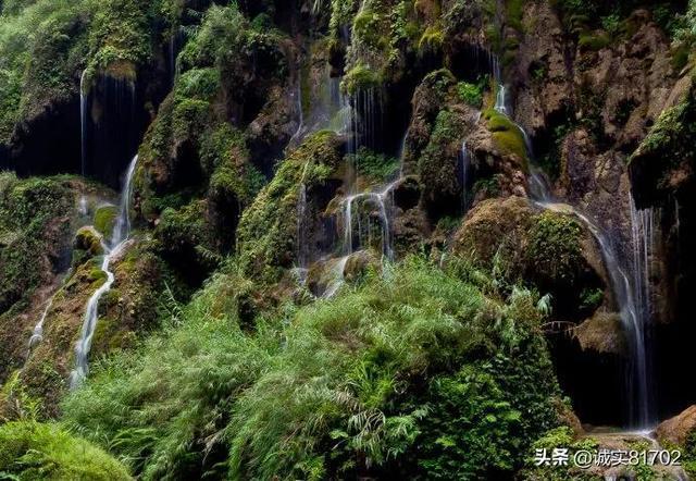 聚焦发展大计 共谱奋进新篇——政协阿拉善盟第十届三次会议分组讨论侧记