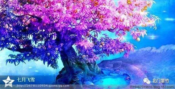 金庸群侠传5